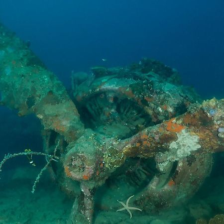 Araya Dive Resort Togean Bomba 외부 사진
