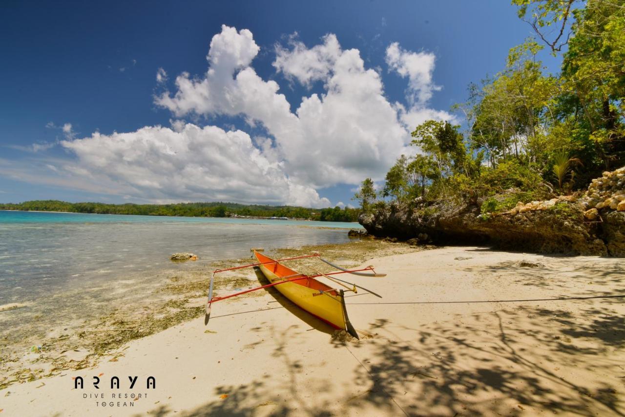 Araya Dive Resort Togean Bomba 외부 사진